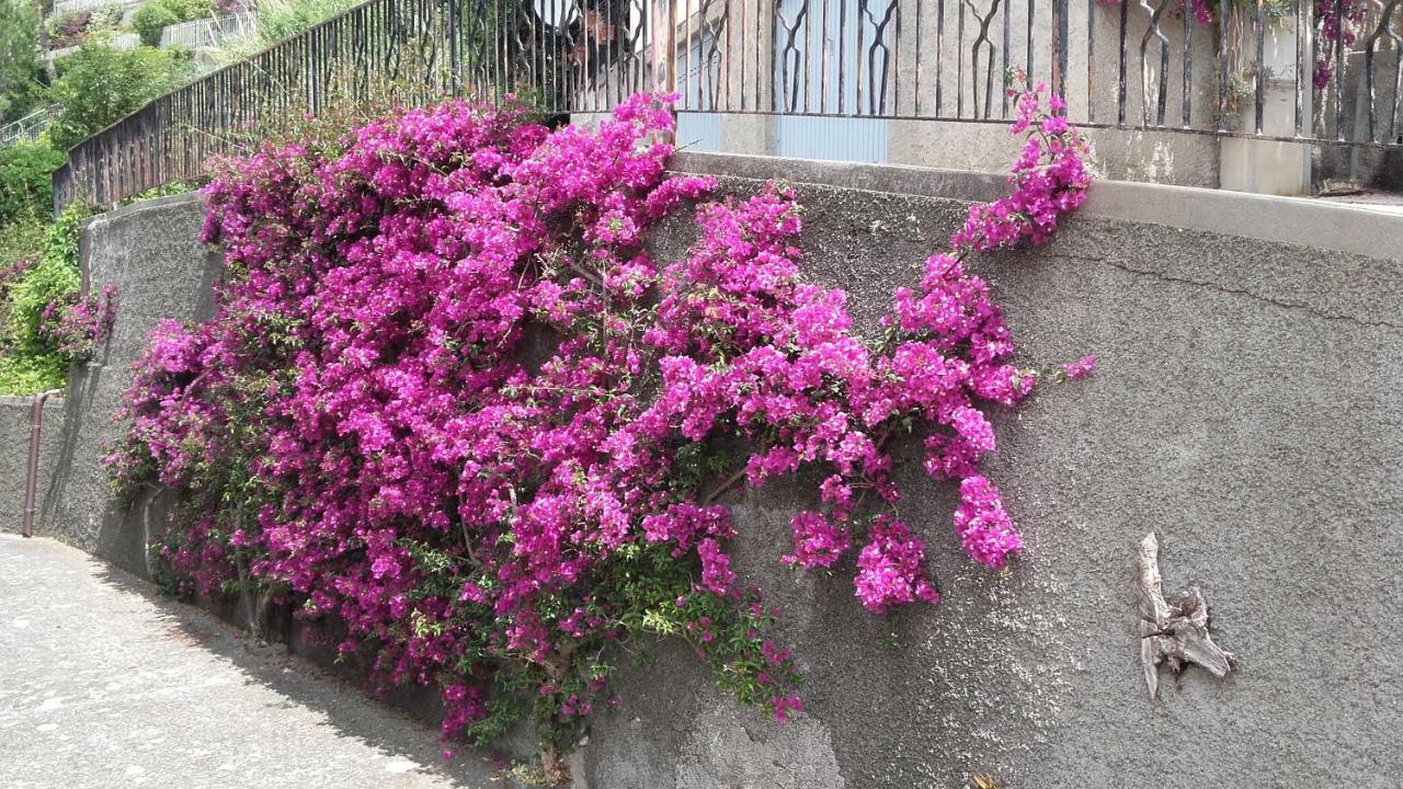Un Gioiello Con Vista Mare Villa Moneglia Exterior photo